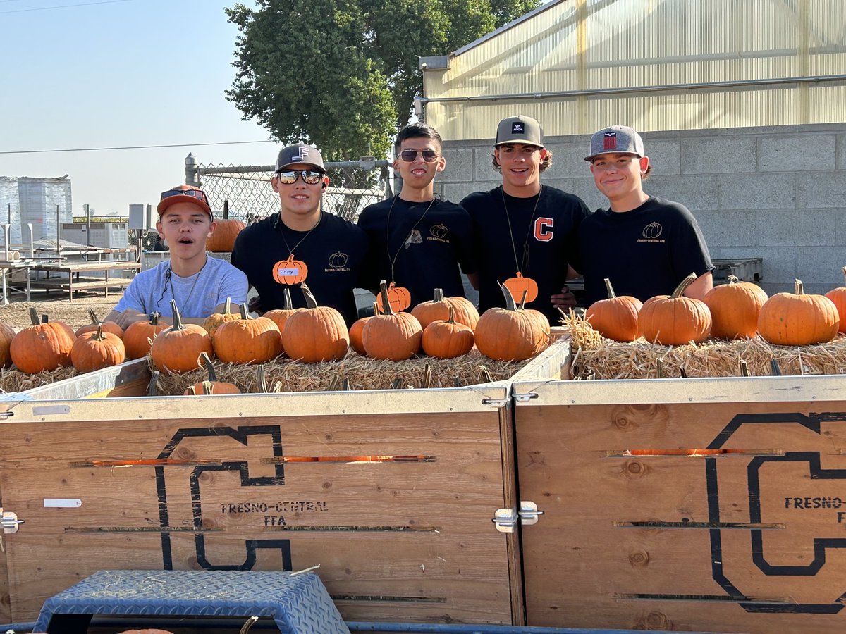rrcheek's tweet photo. CHS FFA pumpkin patch https://t.co/1fWgdwReLi