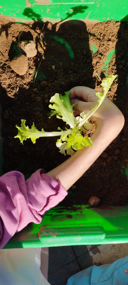 CEE BAIX MAESTRAT tweet media