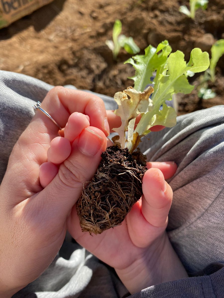 CEE BAIX MAESTRAT tweet media