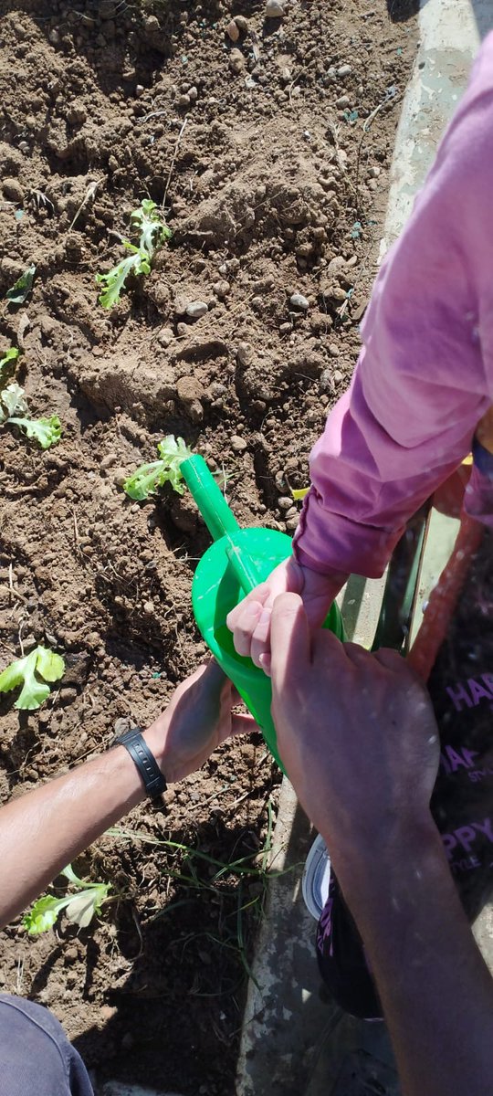 CEE BAIX MAESTRAT tweet media