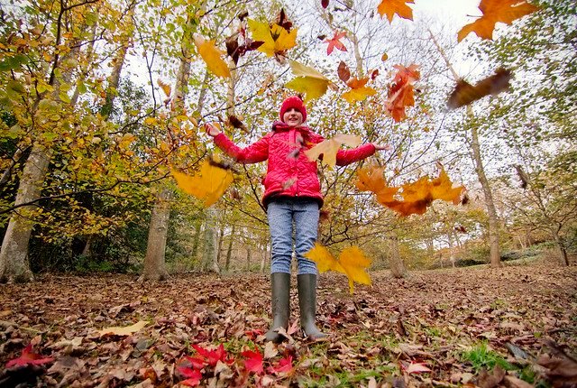 EYTagteam's tweet photo. #FrinallyFriday
Congratulations #EYTagteam on making it to the end of another week. Wishing those starting half term a fun filled break full of #AutumnVibes.
ππ πππππ
Look after yourselves, rest and recharge. Do what you love because your #WellbeingMatters https://t.co/rPAfY3Ords