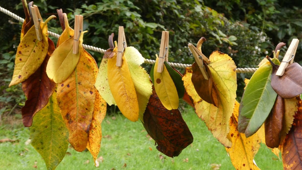EYTagteam's tweet photo. #FrinallyFriday
Congratulations #EYTagteam on making it to the end of another week. Wishing those starting half term a fun filled break full of #AutumnVibes.
ππ πππππ
Look after yourselves, rest and recharge. Do what you love because your #WellbeingMatters https://t.co/rPAfY3Ords