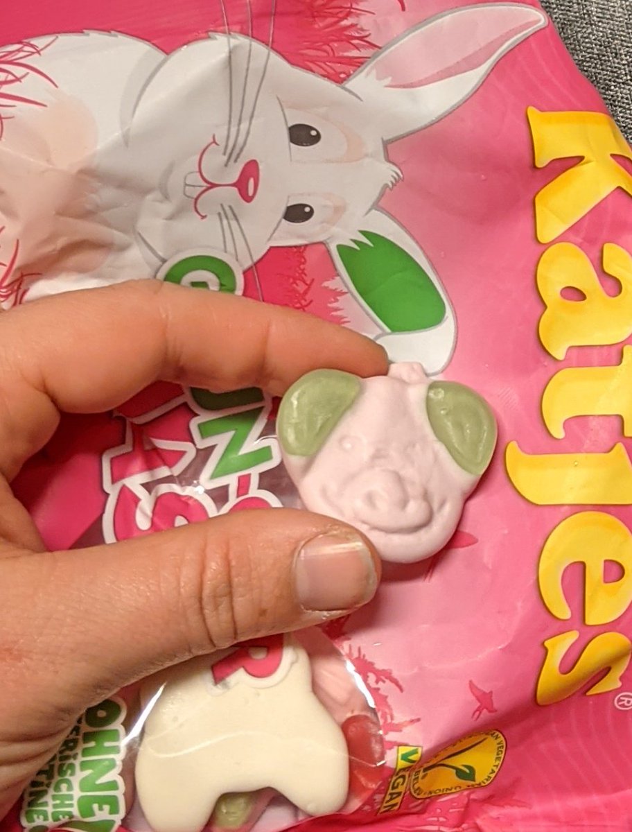 0rangeorchid's tweet photo. @katjes_official  das ist kein Hase! 🐰🐷 https://t.co/iPUCYcbi1K