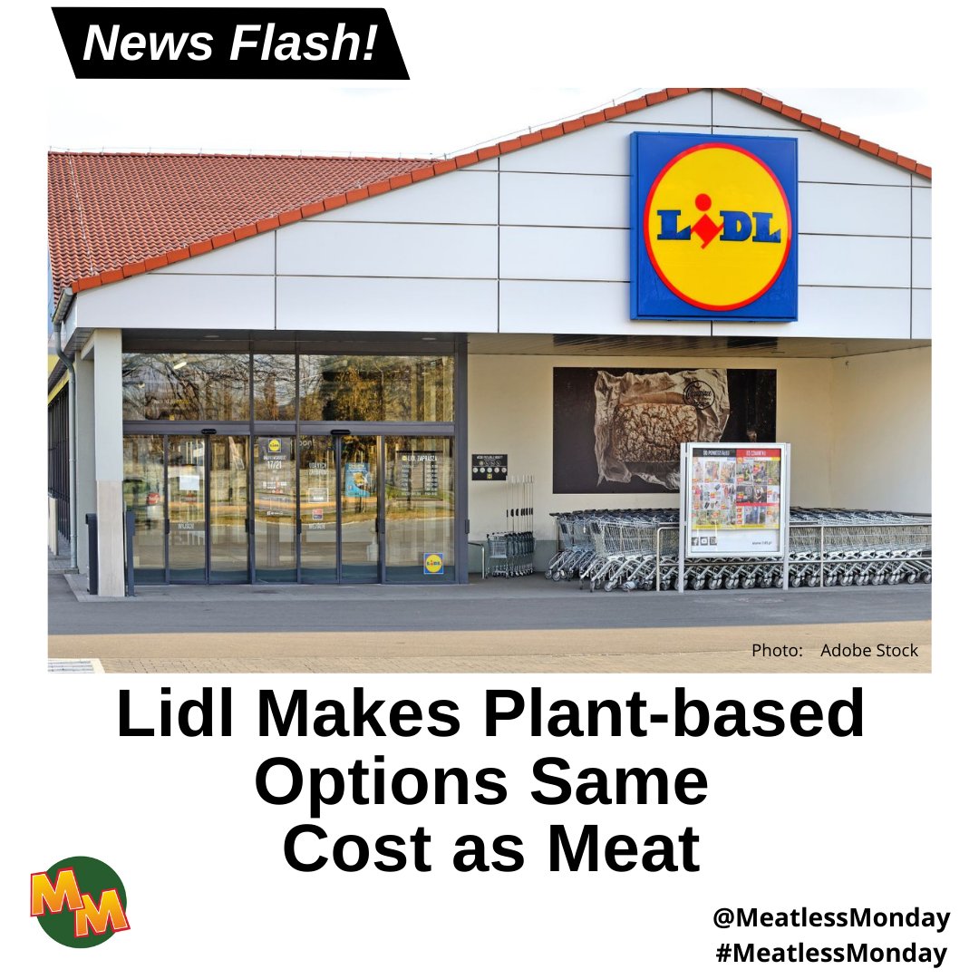 Plant-Based but make it affordable! @Lidl shakes up the market by pricing their #Vemondo products the same as meat options. #Lidl makes it easier for consumers by moving plant-based products near the meat section. @open.food.facts