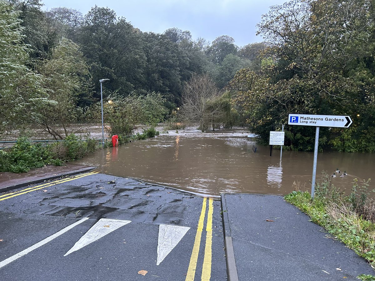 Adam Carmichael tweet media