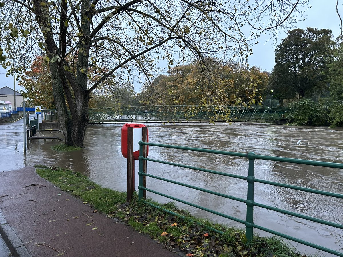 Adam Carmichael tweet media