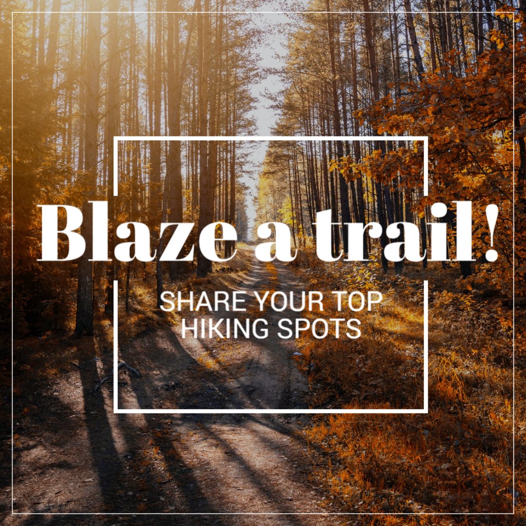 AngelaSadatGrp's tweet image. We love hiking in Minnesota, especially in the fall. What are you top hiking spots? 👇

 #MadeWithRipl  #Hikingspots #MinnesotaMade #SadatSells  #sellmyhome