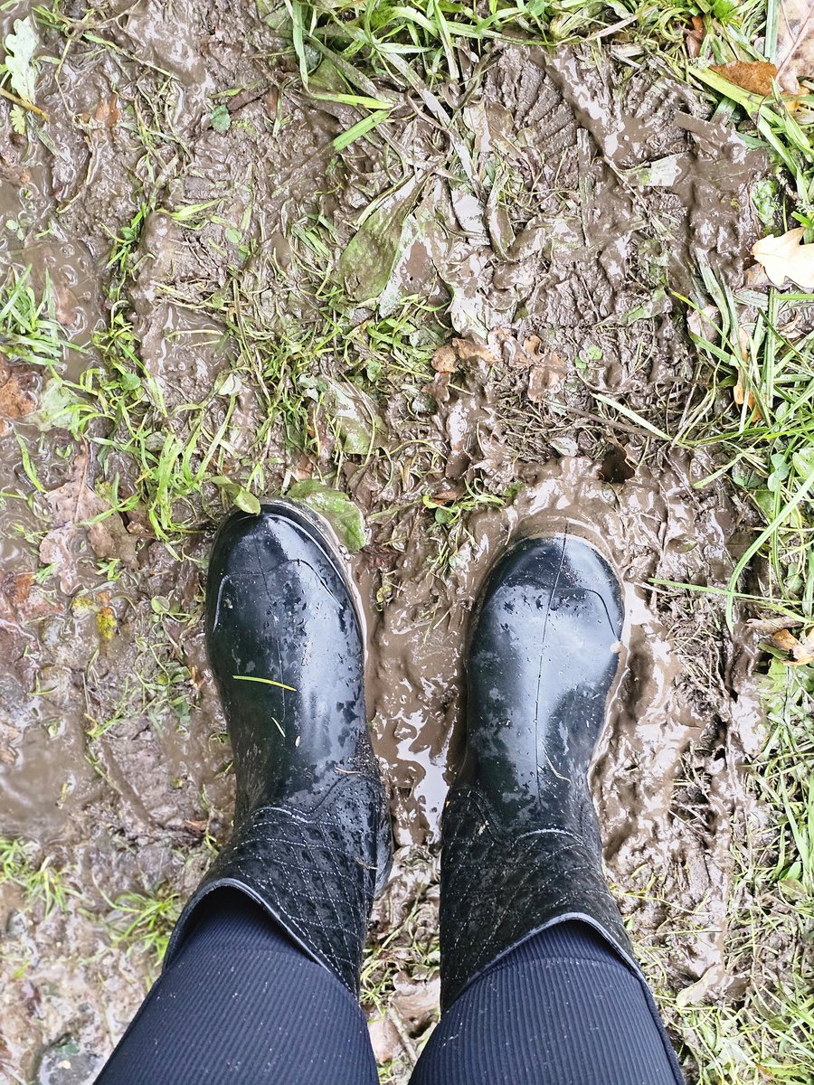 Perfektes Wetter! 👅😜