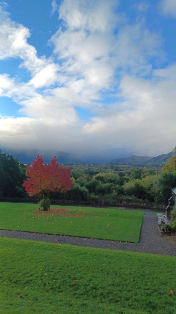 Janic Schulte (@janicschulte) on Twitter photo Brilliant two days at the annual <a href="/NPWSIreland/">National Parks and Wildlife Service</a> conference in Killarney National Park. Lots of food for thought to take back home to Knocksink Wood and lovely to have met so many amazing people in the service! Brilliant two days at the annual <a href="/NPWSIreland/">National Parks and Wildlife Service</a> conference in Killarney National Park. Lots of food for thought to take back home to Knocksink Wood and lovely to have met so many amazing people in the service!