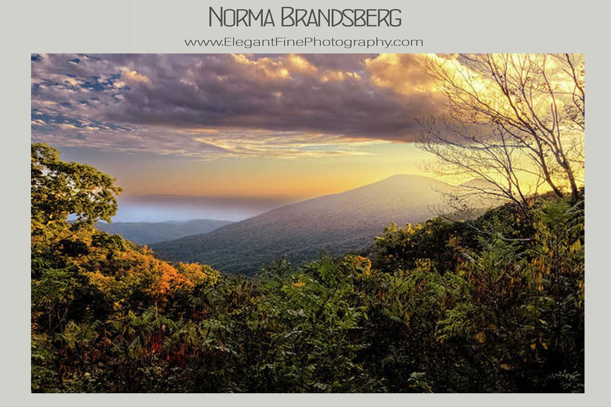 nbrandsberg's tweet photo. Blue Ridge Parkway Mountains in autumn kissed by the sun. I loved the lighting! What about you? Available here:

https://t.co/vo0MguRB2W

#blueridgemountains #blueridgeparkway #sunset #bedfordvirginia #bedfordva #appalachian #peaksofotter #AYearForArt #BuyIntoArt #artforsale https://t.co/NxtApYGt5X