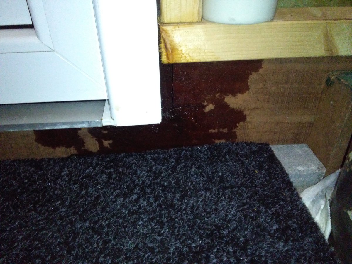 Illustra tweet media