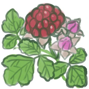 今日のアイコンラフ!明日完成させて上げるよん