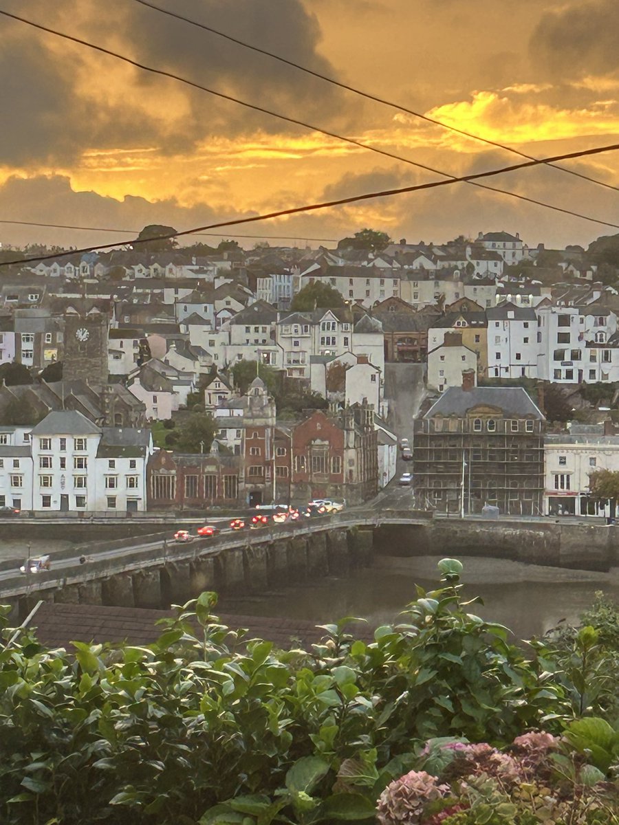 Andy Martin tweet media