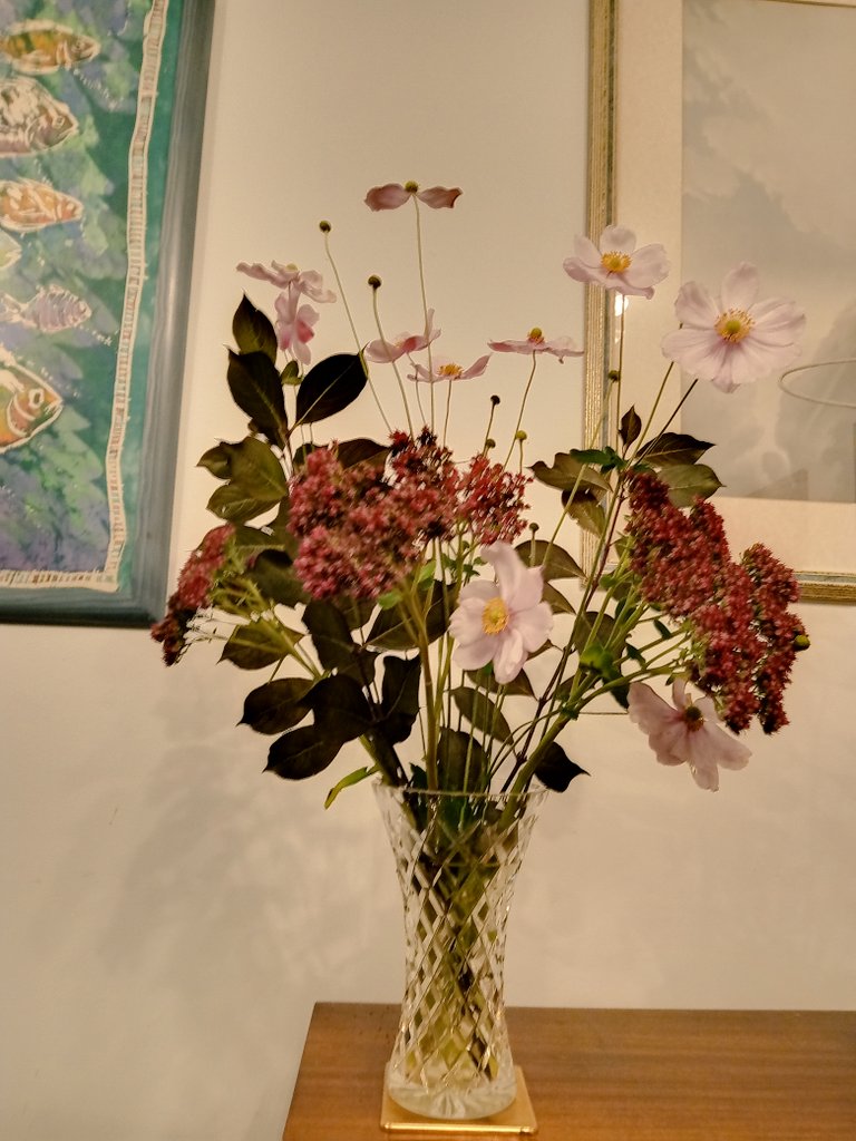 Homeshare West tweet media