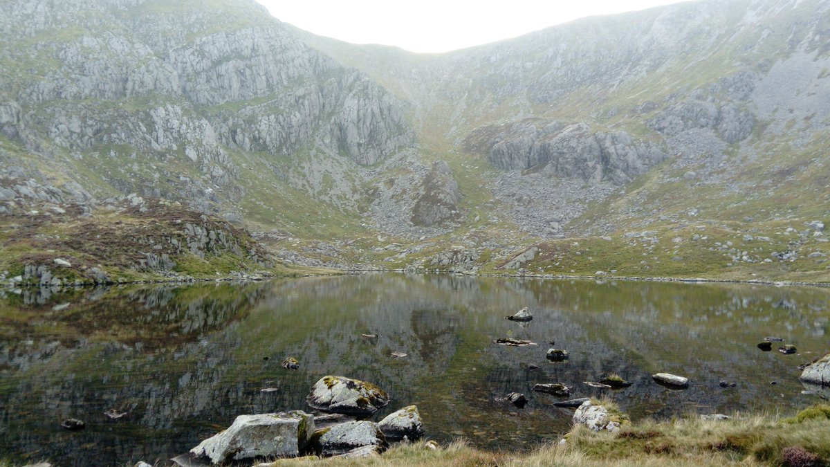 BryoMicroClim's tweet image. News from Wales: #Envloggers with a privileged view! Dive into this landscape, from which our target moss species (#Hedwigia striata) was originally described in 1828, on rocks at the margins of lakes. @PlantlifeCymru #microclimate
Photo credits: John Spill &amp;amp; Rosie Macleod