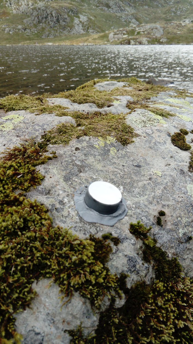 BryoMicroClim's tweet image. News from Wales: #Envloggers with a privileged view! Dive into this landscape, from which our target moss species (#Hedwigia striata) was originally described in 1828, on rocks at the margins of lakes. @PlantlifeCymru #microclimate
Photo credits: John Spill &amp;amp; Rosie Macleod