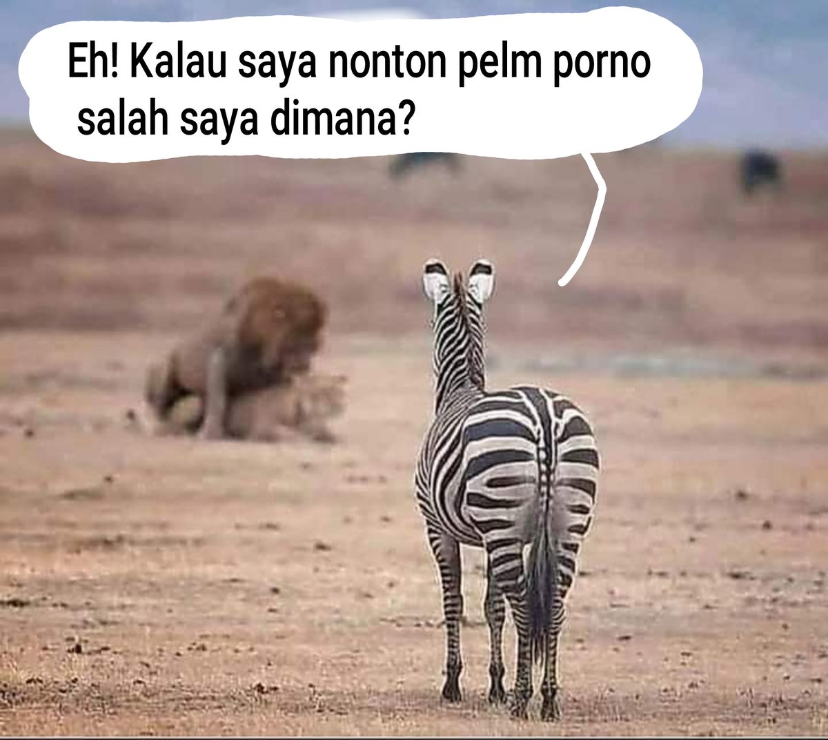 FelixAditya94's tweet photo. @StefanAntonio__ Sama-sama penikmat bokep 🤣 https://t.co/RYOtVGwzYh