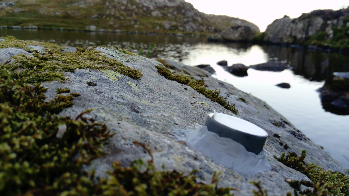 BryoMicroClim's tweet image. News from Wales: #Envloggers with a privileged view! Dive into this landscape, from which our target moss species (#Hedwigia striata) was originally described in 1828, on rocks at the margins of lakes. @PlantlifeCymru #microclimate
Photo credits: John Spill &amp;amp; Rosie Macleod