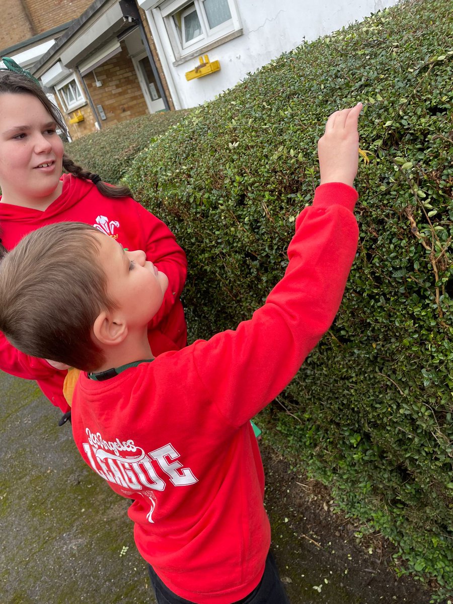 CGPrimary's tweet photo. Class 7 had a spooky literacy filled afternoon. They went on a monster munch hunt outside to find ingredients to put in their very own monster stew. They did a fantastic job at recreating their own written recipes too! Da iawn Pawb! SI #CGPLang #CGPHealth #CGPOutdoors #CGPHum https://t.co/lc6tZVIoMy