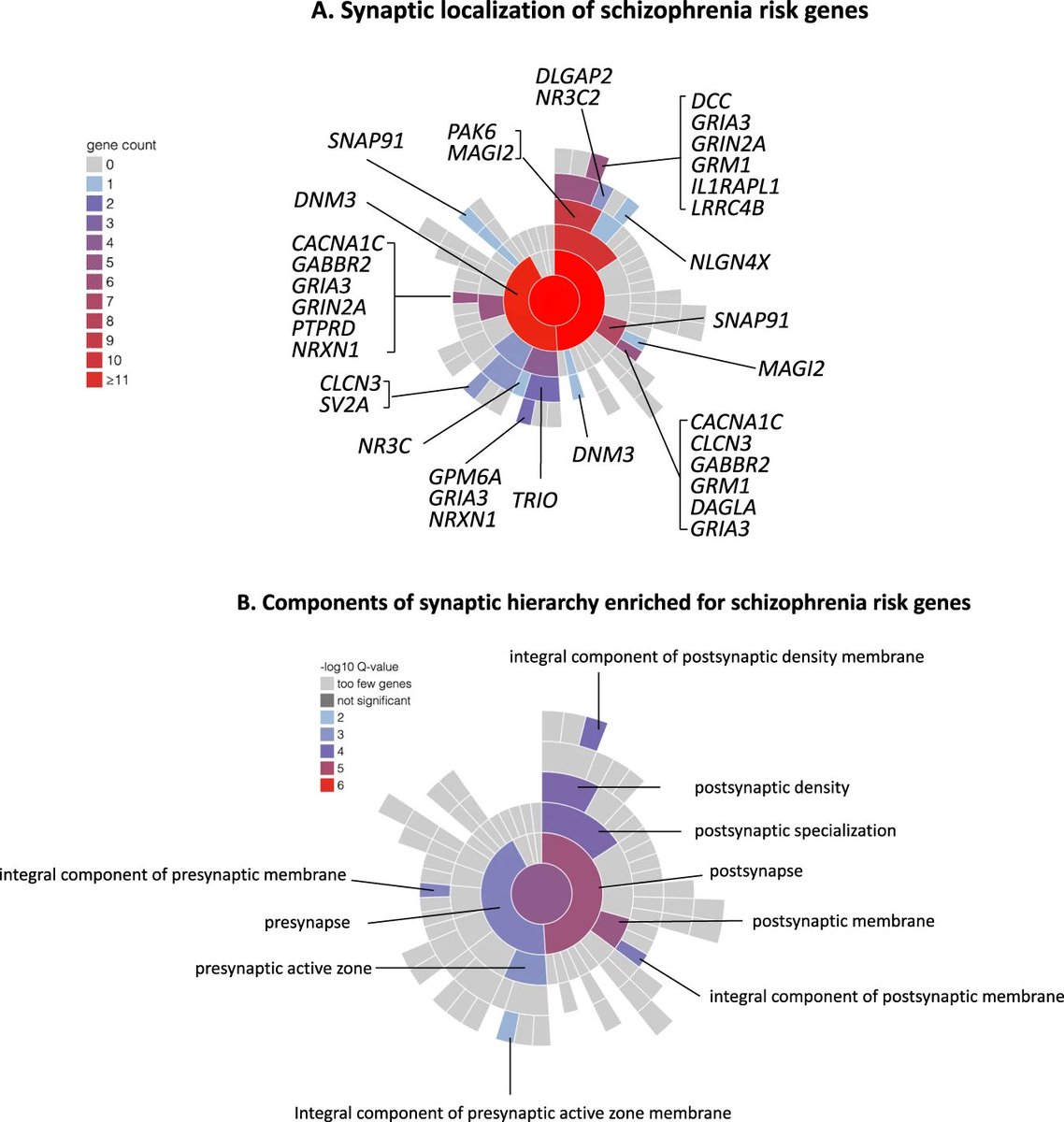 BREAKING NEWS: SCHIZOPHRENIA IS A DISEASE OF THE SYNAPSE!!
nature.com/articles/s4138…