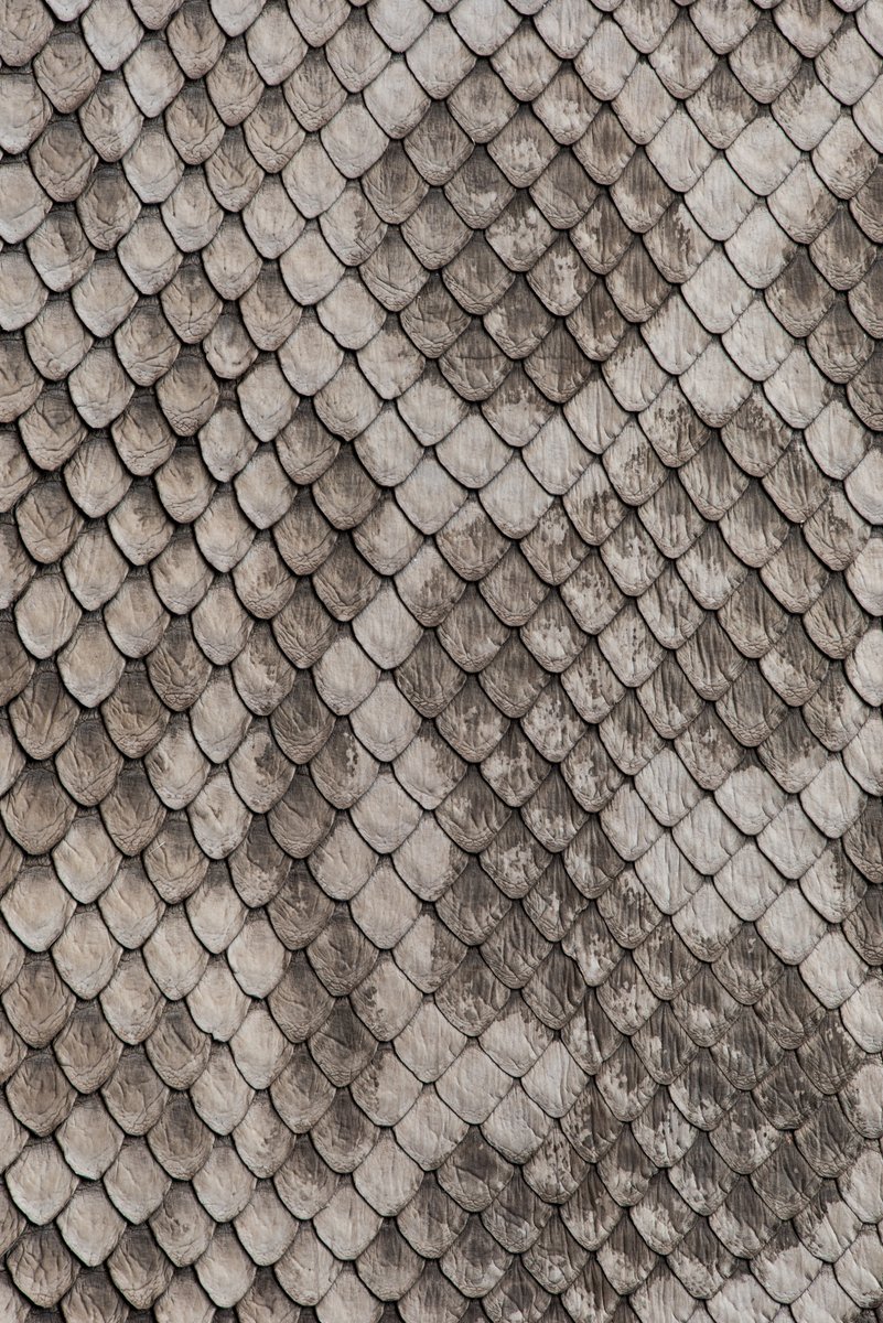 LookStudioAspen's tweet image. DESERT SHIELD
Archival Print​​​​​​​​​​​​​​​​, ©Look Studio
LookStudio.net​​​​​​​​
.
.
.
.
. 
#abstractobsession #artlife #interiorinspiration #abstractpainting #artlovers #interiors #artphotography