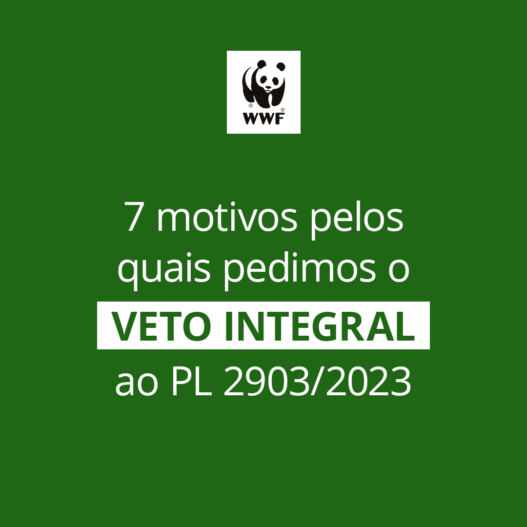Nesta semana, o @wwfbrasil protocolou petição solicitando VETO INTEGRAL do #PL2903, ao Presidente da República e incluindo os ministros @costa_rui  (Min. da Casa Civil), @MarinaSilva  (Min. do Meio Ambiente e Mudança do Clima) e @GuajajaraSonia (Min. dos Povos Indígenas).