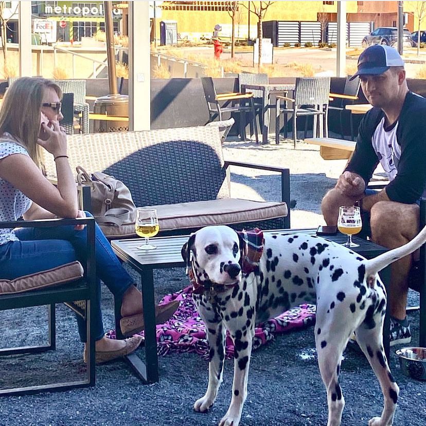 SkydanceBrewing's tweet photo. Take advantage of these patio days and enjoy a cold beer! Many IPAs, sours and your Skydance favorites on tap…see you this weekend! #thisisnative #skydancebrewing https://t.co/OKlhw6A9T3