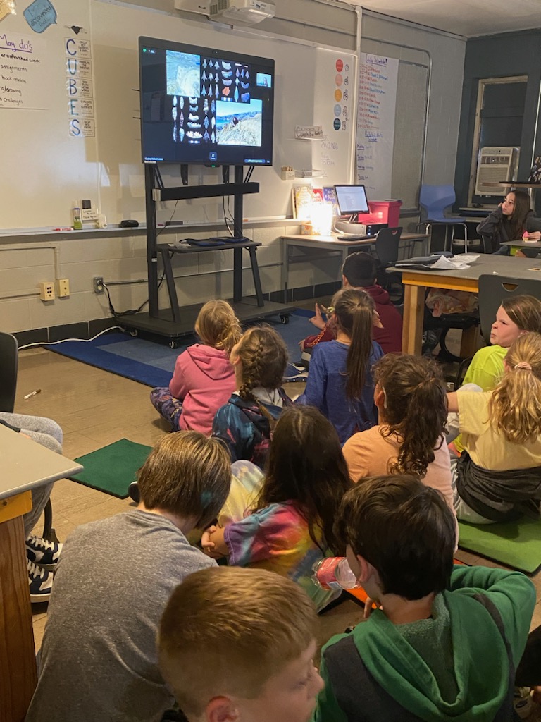 RHTASTEMgrade4's tweet photo. Thank you Dr. Hofman for sharing your work in anthropology with us via Zoom! Our learners learned all about studying evidence to observe change over time. We used fossils along with other collected evidence from a population of animals to see that change! @OSLN @NRCSStem https://t.co/by316MlJwP