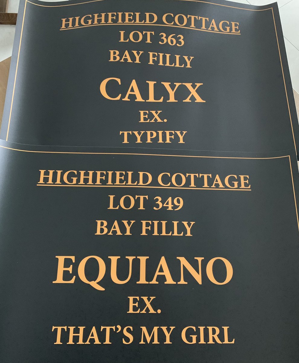 Highfield_CS's tweet image. Getting sales ready….door cards ✅.   Two fab fillies 🐎🐎…make sure to have a look 😉 12 days to go #AutumnSales @Goffs1866