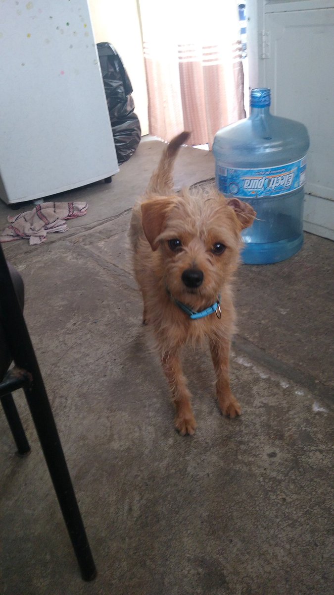 #AmigoQueNoMiente chiquito hermoso
