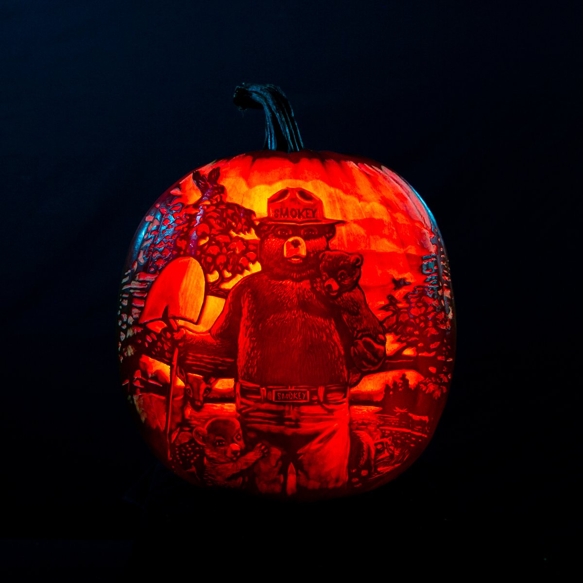 #NewProfilePic 🐻🎃