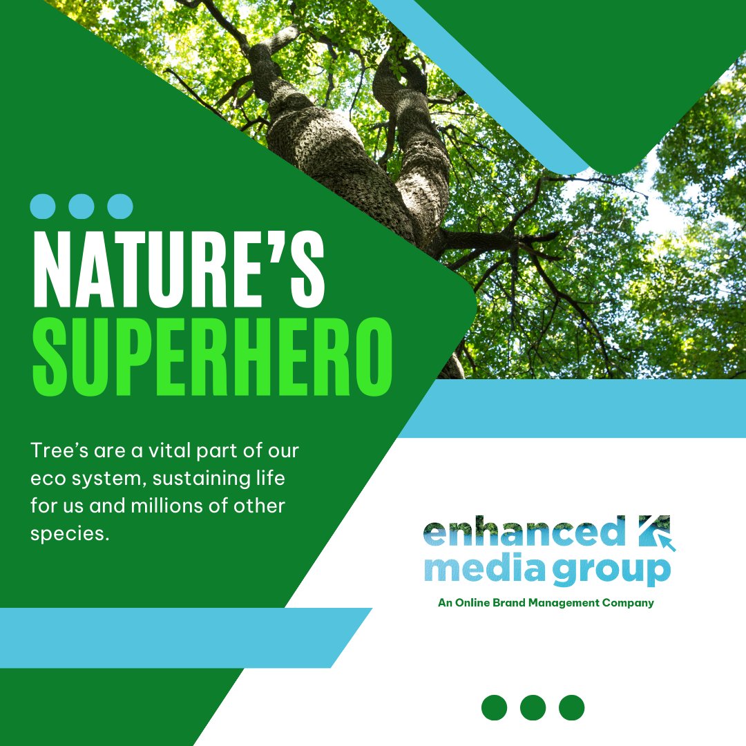 itsemtuk's tweet photo. 🌳🌍 At Enhanced Media Group, we're proud to play our part in reforestation through partnerships with Tree-Nation and Eden Reforestation Projects. Join us in making a greener, healthier planet! 🌱🚀 #Sustainability #TreePlanting #EnhancedMediaGroup https://t.co/E14t5J6oBl