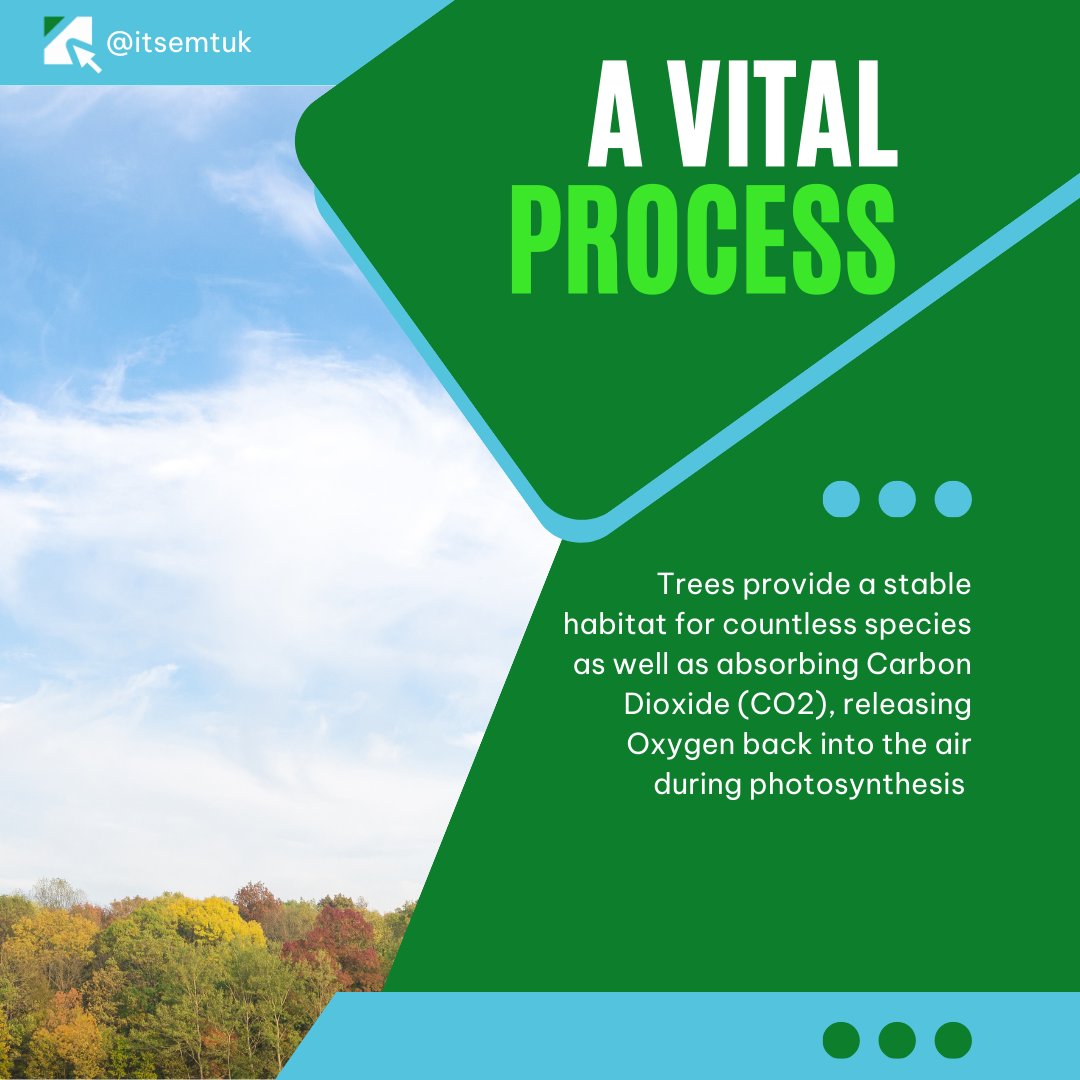itsemtuk's tweet photo. 🌳🌍 At Enhanced Media Group, we're proud to play our part in reforestation through partnerships with Tree-Nation and Eden Reforestation Projects. Join us in making a greener, healthier planet! 🌱🚀 #Sustainability #TreePlanting #EnhancedMediaGroup https://t.co/E14t5J6oBl