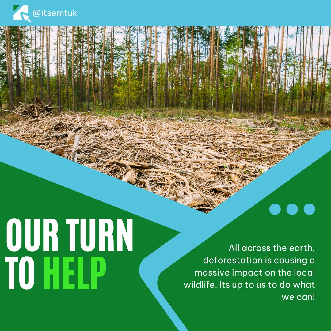 itsemtuk's tweet photo. 🌳🌍 At Enhanced Media Group, we're proud to play our part in reforestation through partnerships with Tree-Nation and Eden Reforestation Projects. Join us in making a greener, healthier planet! 🌱🚀 #Sustainability #TreePlanting #EnhancedMediaGroup https://t.co/E14t5J6oBl