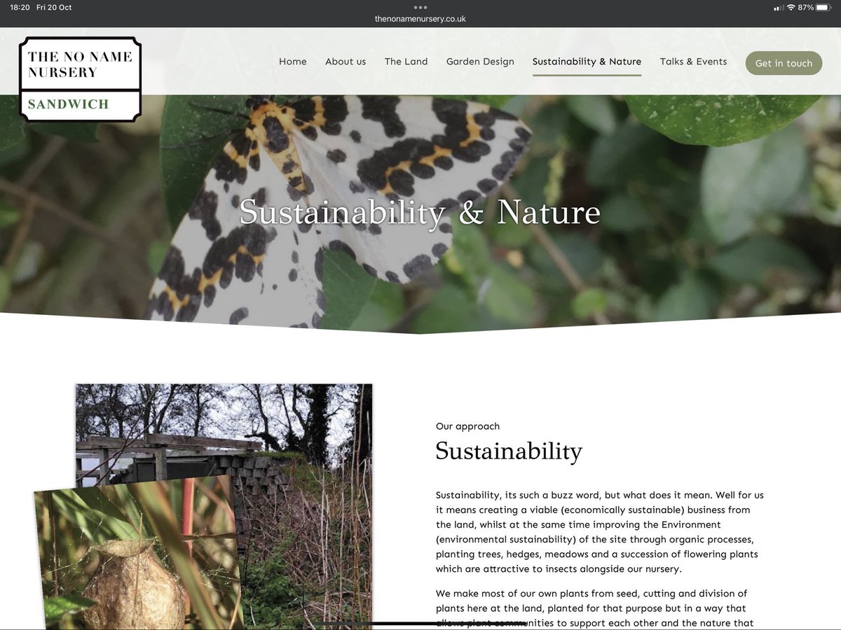 Louise Dowle tweet media