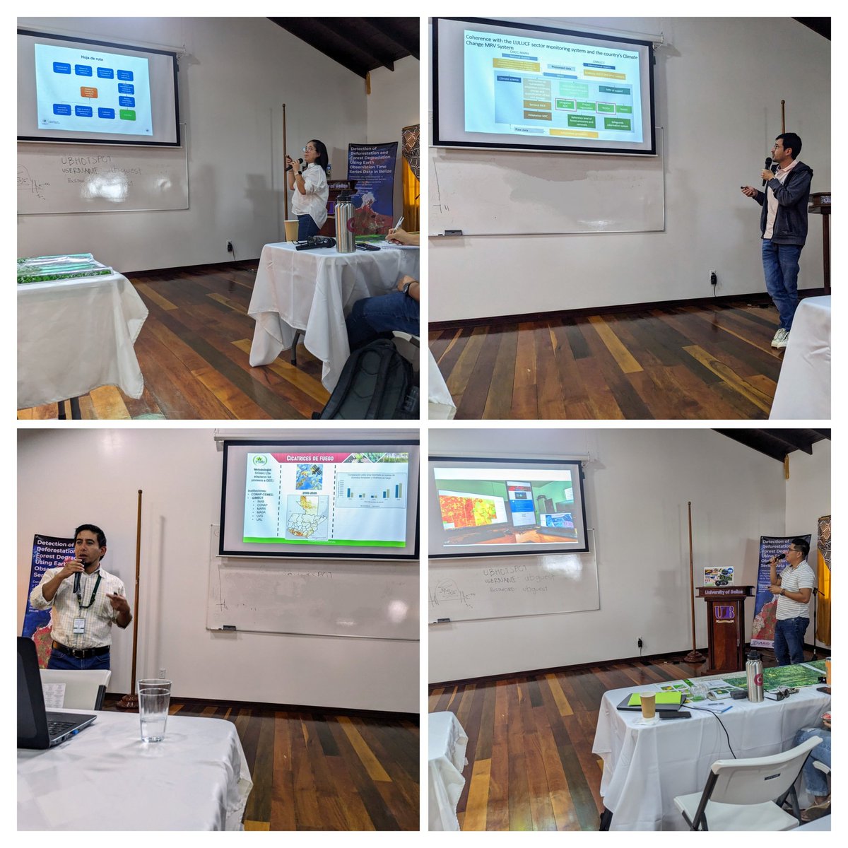 BzGEO's tweet photo. While this week's @SERVIRGlobal forest monitoring training workshop focused on #Belize 🇧🇿, thanks to the support of the @USAID #CentralAmerica + Mexico mission, we also had the participation of national experts from the neighboring countries of 🇬🇹 + 🇸🇻. 🏆
https://t.co/E4EYm5t6Dj https://t.co/fLVAIbWT1h