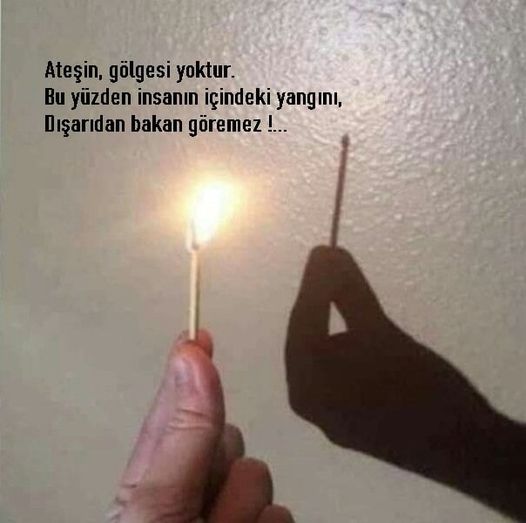 Halil Şenol (@halilenol2) on Twitter photo 