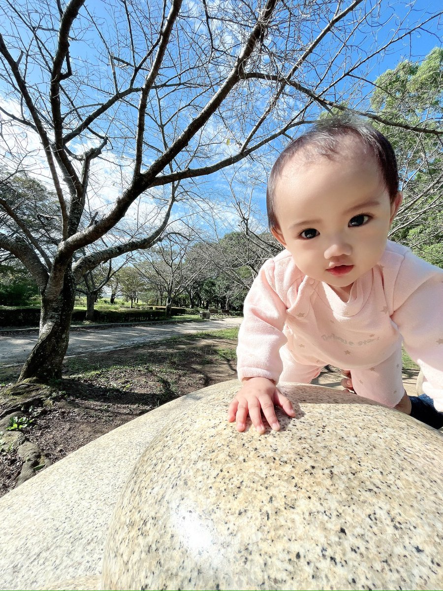 trstnnjwl's tweet photo. ⚜️October 21st,2023 at 2:13am⚜️
💎Happy 11th Months Old my princess Maiko Amethyst💎
Mommy loves you very much😘❤️
}
#MaikoAmethyst 
#MaikoAmethystAt11thMonths 
#MaikoWonders https://t.co/PmgT6j1Js7
