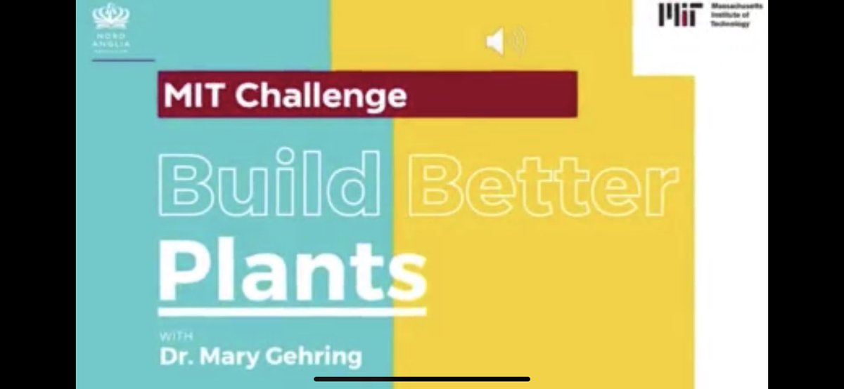 Alison Fox tweet media