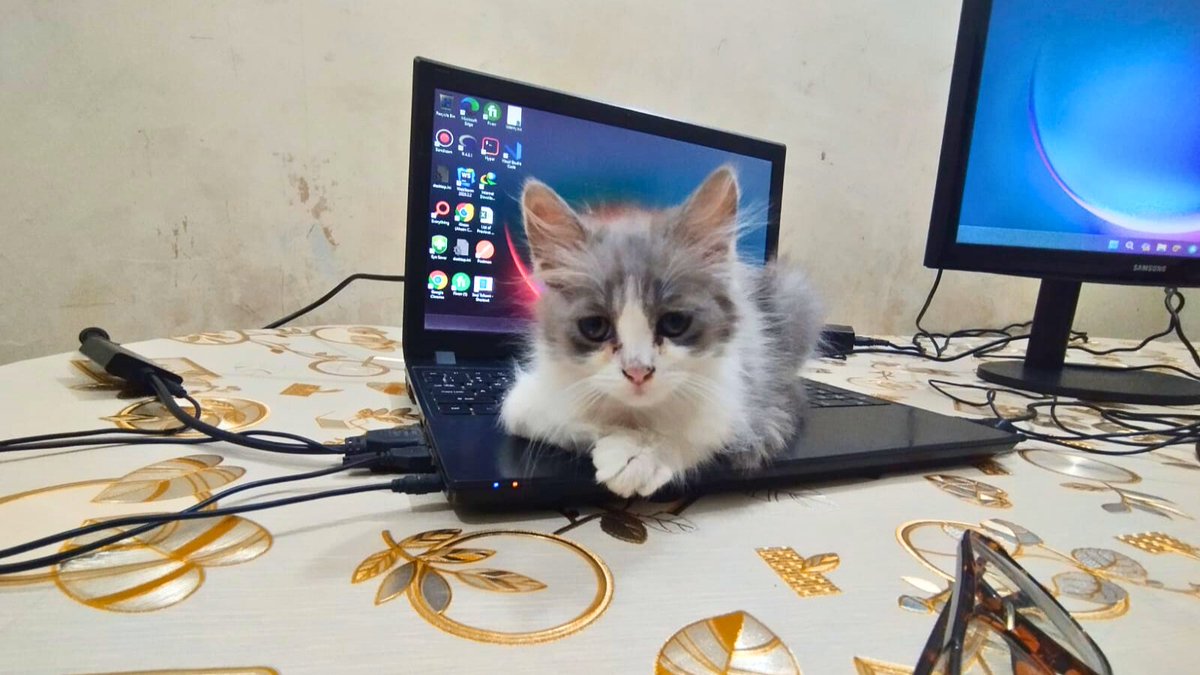 AhsanCommits's tweet image. Introducing my coding partner! 🐱💻 Together, we&apos;re ready for #GlobalHackWeek with @MLHacks. Feline-approved hacking setup! 😺🖥️ #CodingCompanions #TechTeam 📸🔥