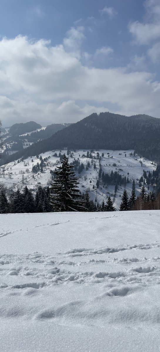 worldexplo2023's tweet photo. Carphatian Mountains in the Winter.
Sinaia, Romania 🇷🇴 region. https://t.co/Jx5b4wqSk1