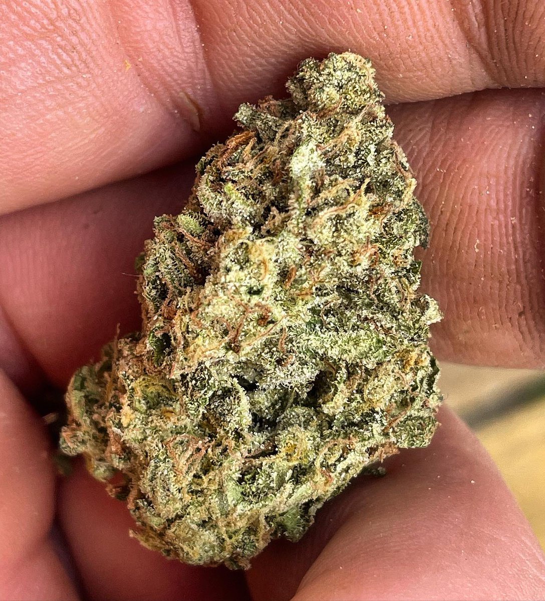 DeliciousSeeds's tweet photo. Friday night vibes with Delicious cookies 😍🤤🤤🔥🔥…
Enjoy the weekend everyone 💜!!
.
.
.
.
.
.
.
#fridaynight #deliciouscookies #deliciousseeds #hightimes #WeekendVibes https://t.co/0gKbFsY2Kk