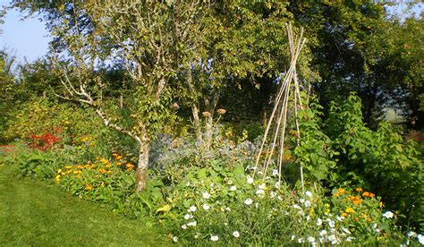 PlantingUp's tweet image. How Do You Create Your Own Forest Garden? dlvr.it/SxkD9F