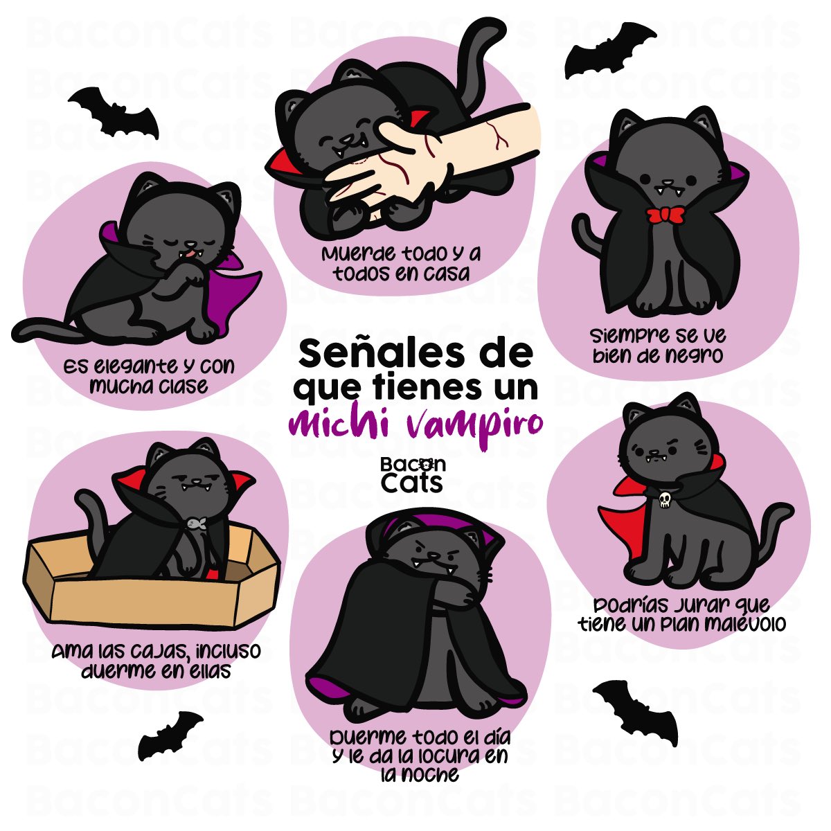 ‼️ ¡CUIDADO! ‼️
Que puede ser que en lugar de michi, tengas un ser terrorífico 😨🦇🐱