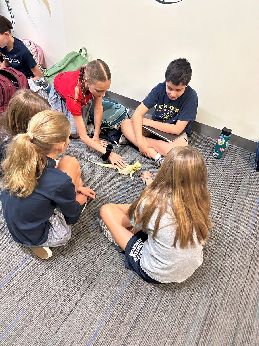 RanchoSolanoAZ's tweet photo. Our students have fallen head over scales for Winston, our therapy animal! Who would have thought a lizard could bring so much joy and calmness to our student body? Winston's soothing presence is a reminder that animals can touch our hearts in the most unexpected ways. https://t.co/tr5qpaJZBY