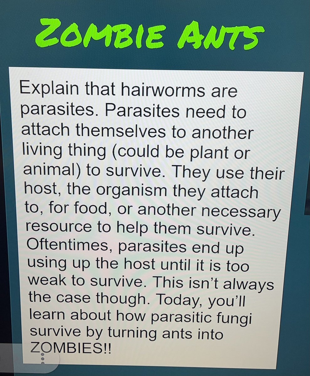 ArroyoVerdeRUSD's tweet photo. Study of Zombie Ants in Mrs. Merideth’s fifth grade science lab today. Hopefully no brains are eaten today. #zombieants #thisisrusd #arroyoaztecs #zombiescience https://t.co/SN06xLHw12