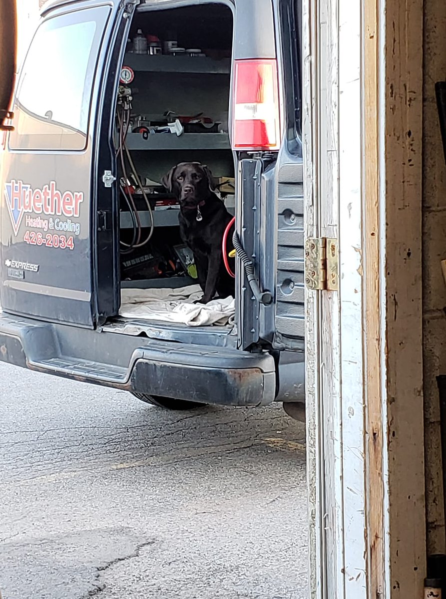 HuetherHeatCool's tweet photo. Delilah &amp; Otis ready to get the day started https://t.co/jZg0mtzs8N