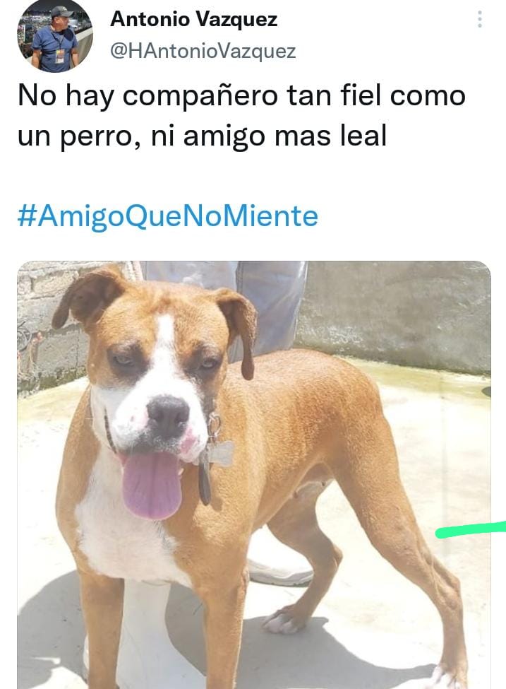 Anamariaalmedaolivares (@anamariaalmeda2) on Twitter photo 