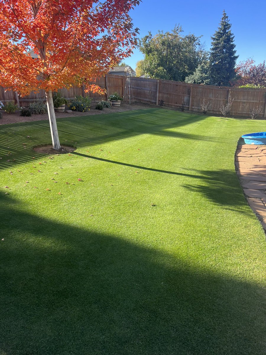 Jeff Bailey (@beetbailey) on Twitter photo 