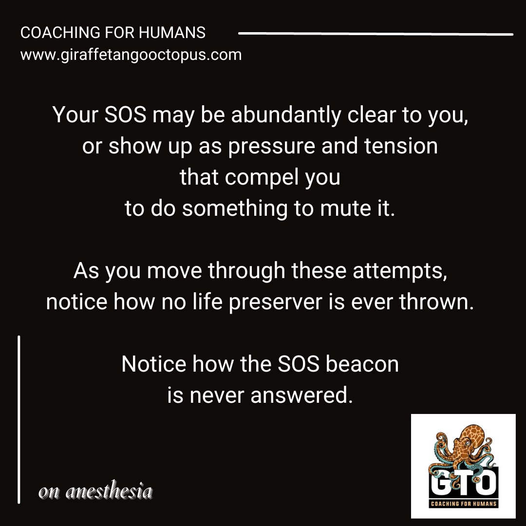 It's like a chirping smoke alarm.  You will go to any lengths to make it stop...and then chirp, chirp.  There it is again.

#gtocoachingforhumans #gtofreedomforhumans #coachkirstenjohansen #sufferingisoptional #investigate #silenceisgolden